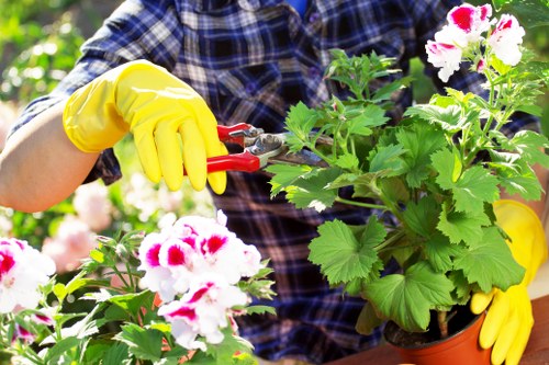 Charity re-use partnership for garden items in East Bedfont