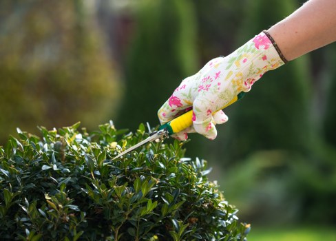 Professional gardeners working in East Bedfont garden with plants and lawn care