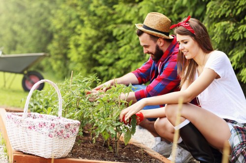 Seasonal hedge maintenance for an East Bedfont property