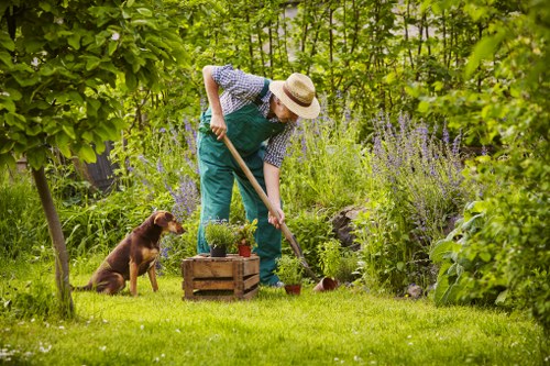Gardening services in East Bedfont for tidy lawns and borders