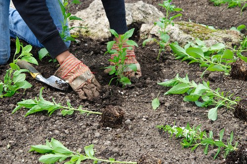 Free garden quote policy for East Bedfont properties