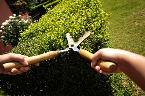 Gardening service issue being assessed