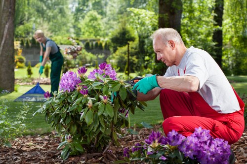 Sustainable gardening and recycling efforts in East Bedfont