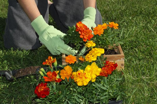 Lawn care and hedge trimming by gardeners in East Bedfont