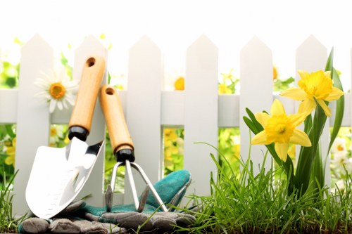 Local East Bedfont garden lawn showing seasonal maintenance and turf improvement