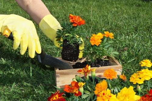 Gardening services terms and conditions introduction