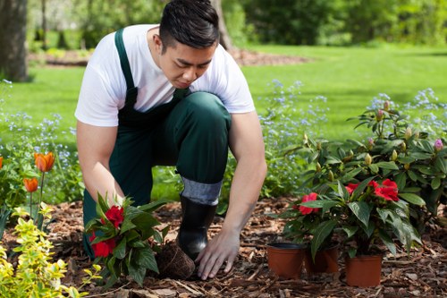 Local transfer station handling recyclable garden materials