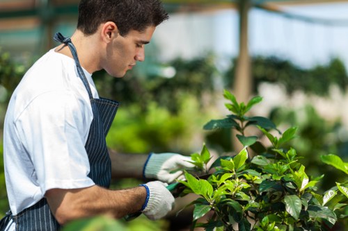 Professional review of a garden work complaint
