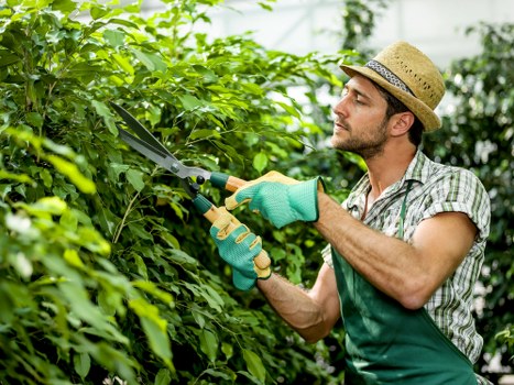 Updated cookie policy for Gardeners East Bedfont
