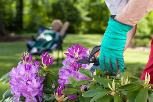 Gardeners East Bedfont creating a tidy and attractive outdoor space