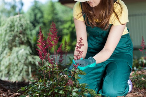 Keyboard navigation and accessible design for local gardening information