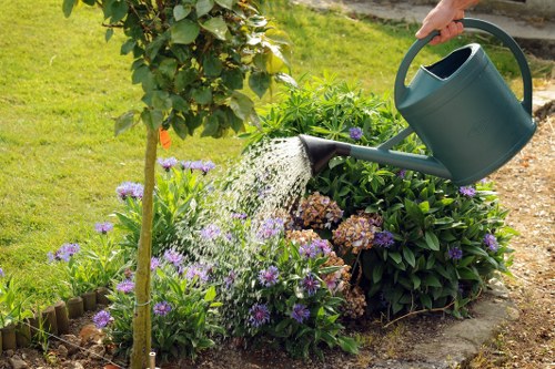 Local lawn mowing and edging service in East Bedfont
