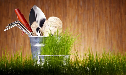 Professional tree reduction service in East Bedfont