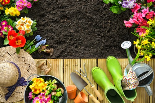 Regular lawn care improving a residential garden in East Bedfont