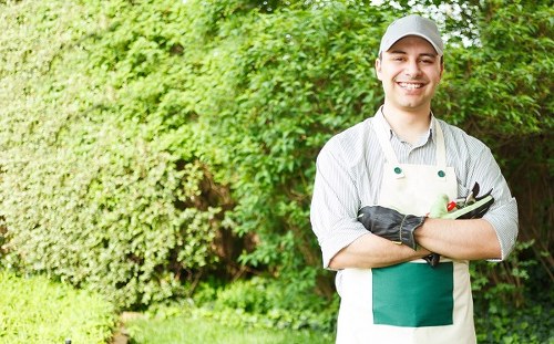 Reporting concerns and compliance checks within East Bedfont gardening services